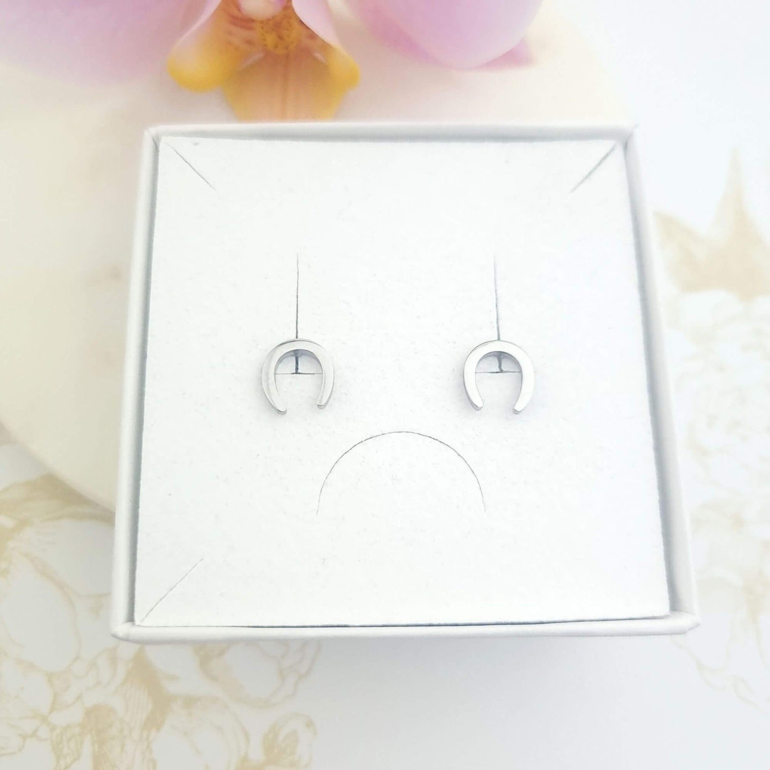 horse shoe stud earrings in a gift box