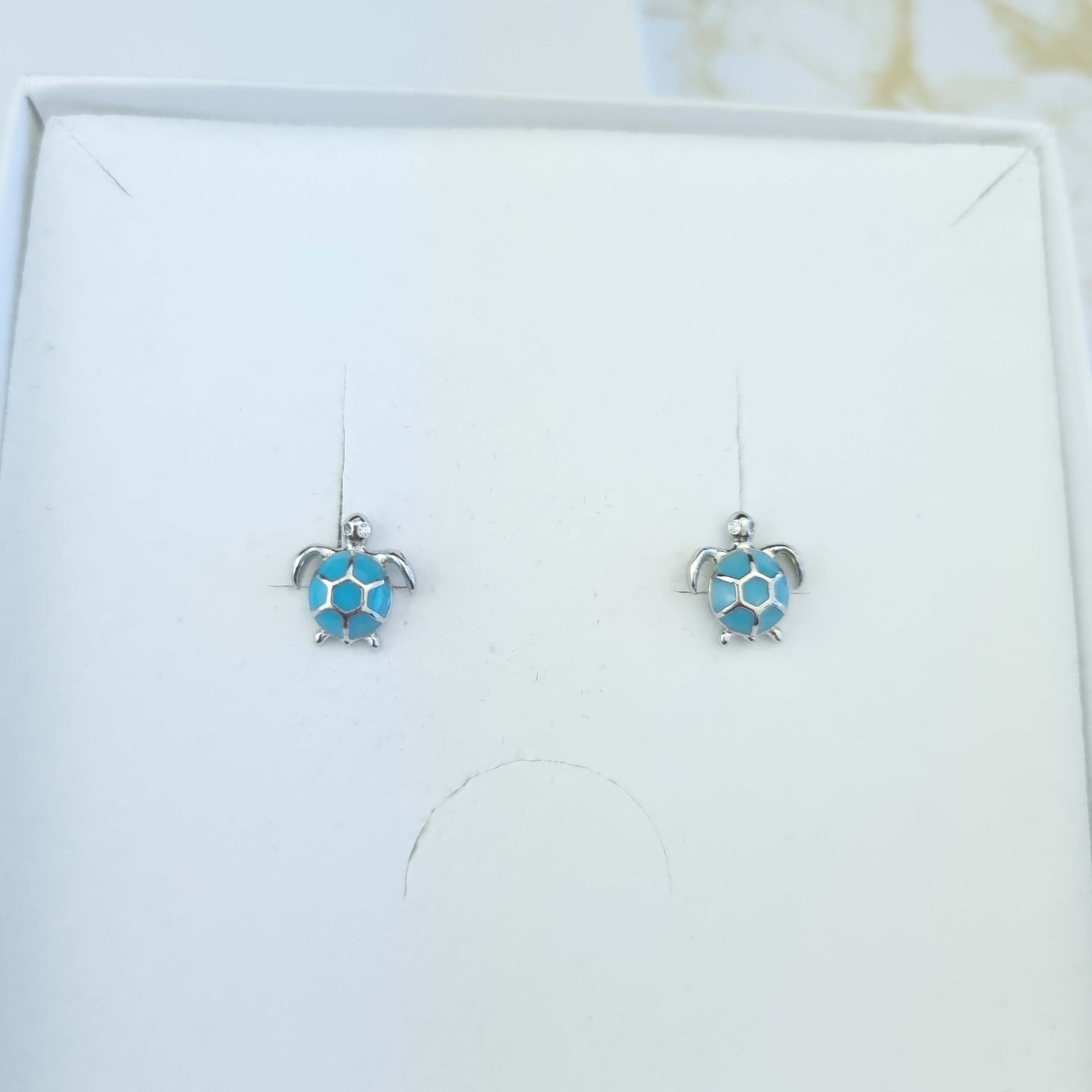 turtle stud earrings in a gift box