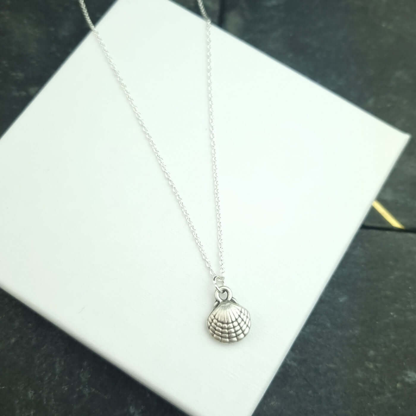 Seashell pendant in a silver chain