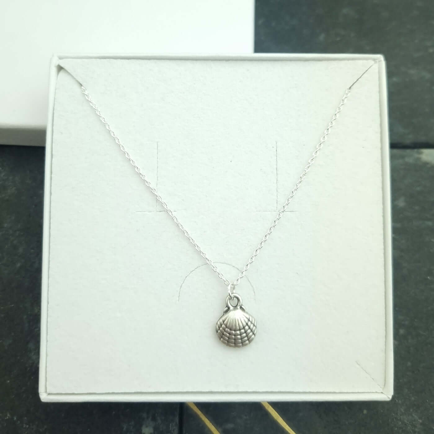 Seashell sterling silver necklace in a gift box